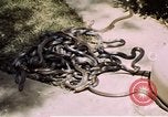 Immagine di Fattoria di serpenti Bangkok in Thailandia, 1939, secondo 22 filmato di repertorio 65675028962