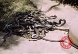 Immagine di Fattoria di serpenti Bangkok in Thailandia, 1939, secondo 24 filmato di repertorio 65675028962