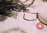 Immagine di Fattoria di serpenti Bangkok in Thailandia, 1939, secondo 27 filmato di repertorio 65675028962