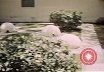 Immagine di Fattoria di serpenti Bangkok in Thailandia, 1939, secondo 30 filmato di repertorio 65675028962