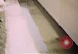 Immagine di Fattoria di serpenti Bangkok in Thailandia, 1939, secondo 31 filmato di repertorio 65675028962