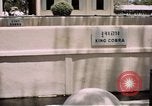 Immagine di Fattoria di serpenti Bangkok in Thailandia, 1939, secondo 35 filmato di repertorio 65675028962