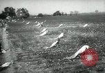 Standbild Baumwolle pflücken Contest Arkansas United States USA, 1957, aus Sekunde 4 historischem Filmmaterial Videoclip 65675028966