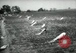 Standbild Baumwolle pflücken Contest Arkansas United States USA, 1957, aus Sekunde 6 historischem Filmmaterial Videoclip 65675028966