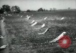Standbild Baumwolle pflücken Contest Arkansas United States USA, 1957, aus Sekunde 7 historischem Filmmaterial Videoclip 65675028966