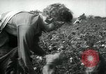 Standbild Baumwolle pflücken Contest Arkansas United States USA, 1957, aus Sekunde 10 historischem Filmmaterial Videoclip 65675028966