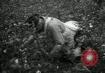 Standbild Baumwolle pflücken Contest Arkansas United States USA, 1957, aus Sekunde 20 historischem Filmmaterial Videoclip 65675028966
