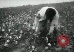 Standbild Baumwolle pflücken Contest Arkansas United States USA, 1957, aus Sekunde 25 historischem Filmmaterial Videoclip 65675028966