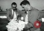 Standbild Baumwolle pflücken Contest Arkansas United States USA, 1957, aus Sekunde 35 historischem Filmmaterial Videoclip 65675028966