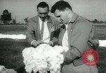 Standbild Baumwolle pflücken Contest Arkansas United States USA, 1957, aus Sekunde 36 historischem Filmmaterial Videoclip 65675028966