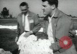 Standbild Baumwolle pflücken Contest Arkansas United States USA, 1957, aus Sekunde 37 historischem Filmmaterial Videoclip 65675028966