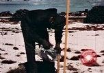 Standbild Atomic test site Enewetak Atoll Marshall Inseln, 1948, aus Sekunde 52 historischem Filmmaterial Videoclip 65675028983