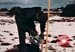 Standbild Atomic test site Enewetak Atoll Marshall Inseln, 1948, aus Sekunde 54 historischem Filmmaterial Videoclip 65675028983