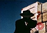 Immagine di Di sicurezza e di misure di test Enewetak atollo delle Isole Marshall, 1948, secondo 40 filmato di repertorio 65675028984