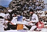 Image essai de bombe atomique d'Enewetak Atoll Iles Marshall, 1951, de la seconde 59 séquences d'archives historiques vidéo 65675028989
