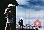 Image of atomic bomb test Enewetak Atoll Marshall Islands, 1951, second 58 stock footage video 65675028992