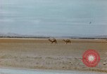 Standbild Konvoi des M3-Tanks Knochen Algerien, 1942, aus Sekunde 33 historischem Filmmaterial Videoclip 65675028996