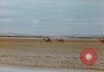 Standbild Konvoi des M3-Tanks Knochen Algerien, 1942, aus Sekunde 34 historischem Filmmaterial Videoclip 65675028996
