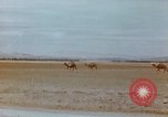 Standbild Konvoi des M3-Tanks Knochen Algerien, 1942, aus Sekunde 35 historischem Filmmaterial Videoclip 65675028996
