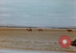 Standbild Konvoi des M3-Tanks Knochen Algerien, 1942, aus Sekunde 36 historischem Filmmaterial Videoclip 65675028996