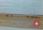Standbild Konvoi des M3-Tanks Knochen Algerien, 1942, aus Sekunde 44 historischem Filmmaterial Videoclip 65675028996