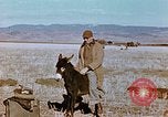 Image of American troops Tunisia North Africa, 1942, second 15 stock footage video 65675028999