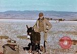 Image of American troops Tunisia North Africa, 1942, second 16 stock footage video 65675028999