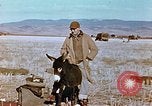 Image of American troops Tunisia North Africa, 1942, second 18 stock footage video 65675028999
