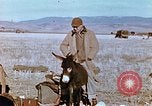Image of American troops Tunisia North Africa, 1942, second 20 stock footage video 65675028999