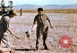 Image of American troops Tunisia North Africa, 1942, second 24 stock footage video 65675028999
