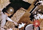Image of American troops Tunisia North Africa, 1942, second 31 stock footage video 65675028999