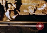 Image of American troops Tunisia North Africa, 1942, second 37 stock footage video 65675028999
