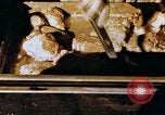 Image of American troops Tunisia North Africa, 1942, second 40 stock footage video 65675028999
