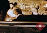 Image of American troops Tunisia North Africa, 1942, second 43 stock footage video 65675028999