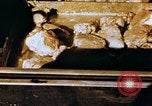 Image of American troops Tunisia North Africa, 1942, second 44 stock footage video 65675028999