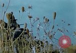 Immagine di Convoglio americano Algeria, 1942, secondo 26 filmato di repertorio 65675029000