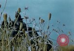 Immagine di Convoglio americano Algeria, 1942, secondo 27 filmato di repertorio 65675029000