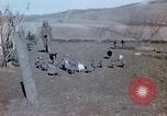 Image Thanksgiving Day l'Algérie, 1942, de la seconde 12 séquences d'archives historiques vidéo 65675029004