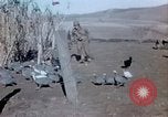Image Thanksgiving Day l'Algérie, 1942, de la seconde 13 séquences d'archives historiques vidéo 65675029004