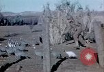 Image Thanksgiving Day l'Algérie, 1942, de la seconde 14 séquences d'archives historiques vidéo 65675029004