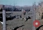 Image Thanksgiving Day l'Algérie, 1942, de la seconde 15 séquences d'archives historiques vidéo 65675029004