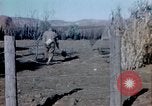 Image Thanksgiving Day l'Algérie, 1942, de la seconde 16 séquences d'archives historiques vidéo 65675029004