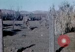 Image Thanksgiving Day l'Algérie, 1942, de la seconde 17 séquences d'archives historiques vidéo 65675029004