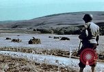 Image Tirs d'artillerie britanniques sur les Allemands Tebourba Tunisie, 1942, de la seconde 8 séquences d'archives historiques vidéo 65675029006