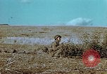 Image Tirs d'artillerie britanniques sur les Allemands Tebourba Tunisie, 1942, de la seconde 55 séquences d'archives historiques vidéo 65675029006