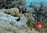 Image Tirs d'artillerie britanniques sur les Allemands Tebourba Tunisie, 1942, de la seconde 60 séquences d'archives historiques vidéo 65675029006