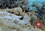 Image Tirs d'artillerie britanniques sur les Allemands Tebourba Tunisie, 1942, de la seconde 61 séquences d'archives historiques vidéo 65675029006