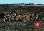 Immagine di Soldati tedeschi e italiani catturati Tunisia Africa del Nord, 1942, secondo 30 filmato di repertorio 65675029007