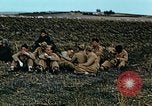 Immagine di Soldati tedeschi e italiani catturati Tunisia Africa del Nord, 1942, secondo 31 filmato di repertorio 65675029007