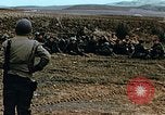 Immagine di Soldati tedeschi e italiani catturati Tunisia Africa del Nord, 1942, secondo 33 filmato di repertorio 65675029007